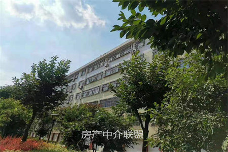 阳光河畔3室2厅1卫126㎡带车库100万